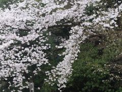 -杭州少年儿童公园