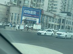 -全心全意动物诊疗中心医院(北苑店)