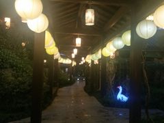 -杭州第一世界大酒店·云曼温泉