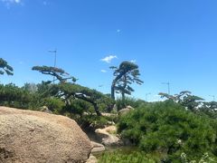 -罗红摄影艺术馆