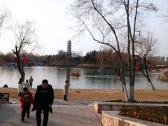 -商丘市人民公园