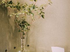 -喧闹·东方大气茶(鹅岭二厂店)