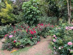 -人民公园(罗湖区)