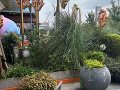 -Peet's Coffee皮爷咖啡(上海长风大悦城店)