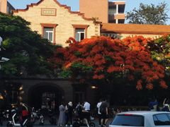 -厦门大学(思明校区)