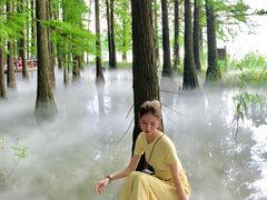 -东湖落雁景区