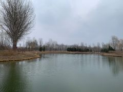 -东郊湿地公园