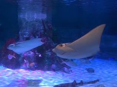 -沈阳海洋探索中心