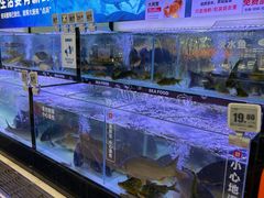 -物美超市(通州华业玫瑰店)