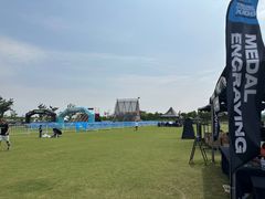 -春花秋色城市公园