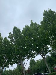 -HEYAN长风荷妍专业脱毛美肤
