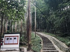 -黄埔油麻山森林公园