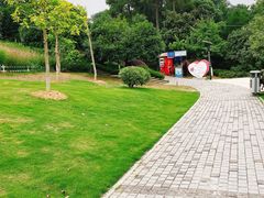 -铁山坪森林公园