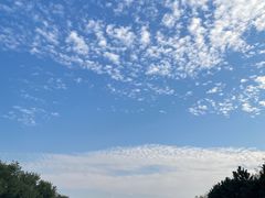 -汉长安城未央宫国家考古遗址公园