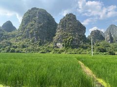 -钟山水墨田园