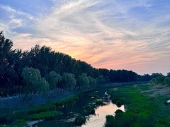-东郊湿地公园