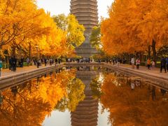 -玲珑塔公园