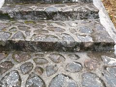 -风云岭森林公园