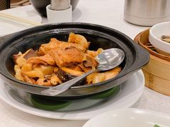 花胶珍菌千层豆腐-金翠皇宫粤菜·点心·海鲜(科技园店)