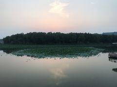 -大兴滨河森林公园