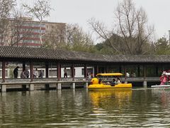 -团结湖公园