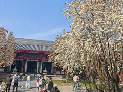 -大慈恩寺(大雁塔)