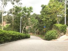-火炉山森林公园