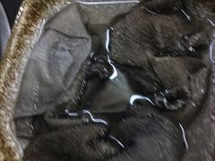 -大龙火锅(老店)