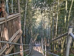 -宁波浙东大竹海景区