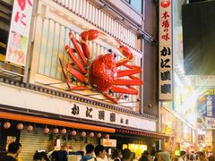-蟹道乐(道顿堀本店)
