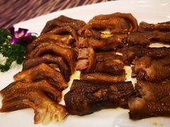 -欢乐海岸美食联盟