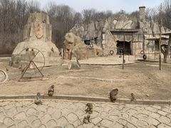 -哈尔滨北方森林动物园
