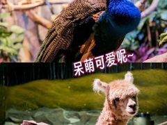 -正佳极地海洋世界