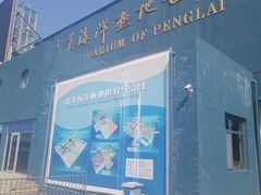-蓬莱欧乐堡海洋极地世界