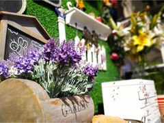 -桂林市花鸟市场