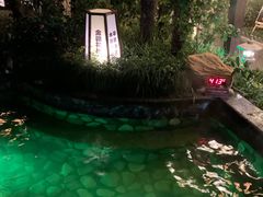 -杭州第一世界大酒店·云曼温泉