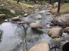 -新洲生态园