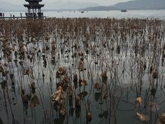 -西湖天地