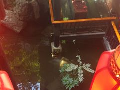 -鱼桥巷·美学川菜