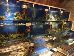 水产区-马路边上·小海鲜烧烤(八一路店)