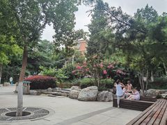 -古城公园