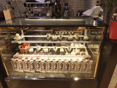 -藏猫猫咖啡主题馆(中央大道店)