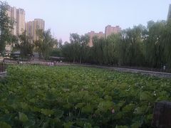 -迎泽公园