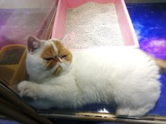 -乐宠宠物店(世纪金源店)