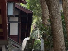 -都江堰普照寺