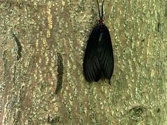 -昆山城市生态森林公园