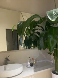 -悦色嘉丽科技美肤健康管理