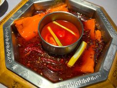 -蜀九香火锅(九眼桥店)