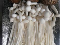 -同仁四季椰子鸡(福田东园总店)