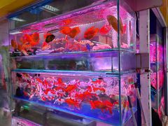 -三旗百汇商品城